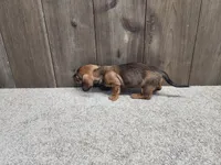 processed/7961d7b4-384b-425f-9d61-aeb40d56e998/listing/d0848a73-5c24-40e7-9264-3028939232bc/d3a602e6-7df7-4a44-be61-c79466d38599