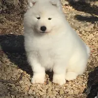 processed/79670cd2-db0b-4897-9c0d-8e2184652d01/facility/0d18a7a1-d56c-4cc0-b548-585376befbd7