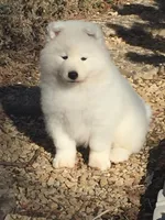 processed/79670cd2-db0b-4897-9c0d-8e2184652d01/facility/0d18a7a1-d56c-4cc0-b548-585376befbd7