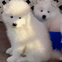 processed/79670cd2-db0b-4897-9c0d-8e2184652d01/facility/121f8683-665b-4ea9-a6d4-1bd92a2b0ebe