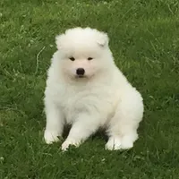 processed/79670cd2-db0b-4897-9c0d-8e2184652d01/facility/492d10aa-e6cd-4bb2-a3e9-535ed6fd83de