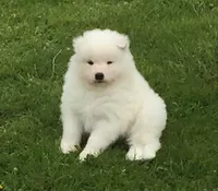 processed/79670cd2-db0b-4897-9c0d-8e2184652d01/facility/492d10aa-e6cd-4bb2-a3e9-535ed6fd83de