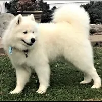 processed/79670cd2-db0b-4897-9c0d-8e2184652d01/facility/85b14f22-ff5d-429a-86ee-33bb56e2f3e2