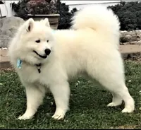 processed/79670cd2-db0b-4897-9c0d-8e2184652d01/facility/85b14f22-ff5d-429a-86ee-33bb56e2f3e2