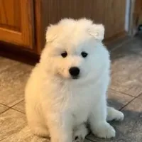 processed/79670cd2-db0b-4897-9c0d-8e2184652d01/facility/9465e3ab-1f00-4da3-89d0-b43eafb760a1