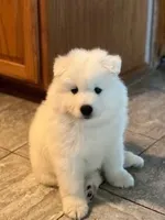 processed/79670cd2-db0b-4897-9c0d-8e2184652d01/facility/9465e3ab-1f00-4da3-89d0-b43eafb760a1