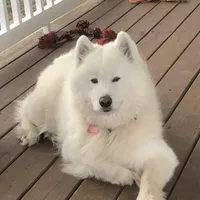 processed/79670cd2-db0b-4897-9c0d-8e2184652d01/facility/94bad7bd-23f8-42a9-9122-c0965b6d962c