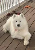 processed/79670cd2-db0b-4897-9c0d-8e2184652d01/facility/94bad7bd-23f8-42a9-9122-c0965b6d962c