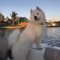 processed/79670cd2-db0b-4897-9c0d-8e2184652d01/facility/c25faf0f-dfae-402b-a312-52e75ca770f2