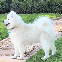 processed/79670cd2-db0b-4897-9c0d-8e2184652d01/facility/ca182d8c-1ed0-45fc-a165-b8fdb59fed19