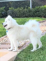 processed/79670cd2-db0b-4897-9c0d-8e2184652d01/facility/ca182d8c-1ed0-45fc-a165-b8fdb59fed19