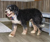 processed/7973d3b3-ba40-454f-ac84-0d79c3807f5a/listing/1dca5140-090c-42b5-a29c-fe89d7c8b876/d39ee971-1ef3-4f4d-8955-bbdee8eee752