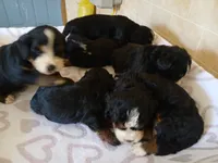 processed/7973d3b3-ba40-454f-ac84-0d79c3807f5a/listing/1dca5140-090c-42b5-a29c-fe89d7c8b876/e623c6bd-5612-44cb-9ff3-405a96956435