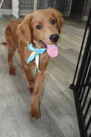 processed/7973d3b3-ba40-454f-ac84-0d79c3807f5a/listing/38bd8e73-c57a-408b-85c9-d08c48269b93/9997d318-533e-4d15-8f36-1be9cbe3243c