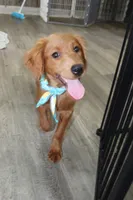 processed/7973d3b3-ba40-454f-ac84-0d79c3807f5a/listing/38bd8e73-c57a-408b-85c9-d08c48269b93/f9525a9c-26d5-4af4-b476-bea1ec2ef5de