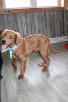 processed/7973d3b3-ba40-454f-ac84-0d79c3807f5a/listing/38bd8e73-c57a-408b-85c9-d08c48269b93/ff969675-1ef6-441f-a0d3-74449beae39a