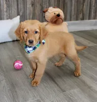 processed/7973d3b3-ba40-454f-ac84-0d79c3807f5a/listing/82343cd2-ad49-4eb9-8b4d-d7330393c668/4fbee659-0856-4e4c-8dcf-52e56bfe43ce