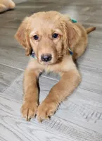 processed/7973d3b3-ba40-454f-ac84-0d79c3807f5a/listing/82343cd2-ad49-4eb9-8b4d-d7330393c668/f641fb8a-e529-43ec-9c3a-e05759693ea9