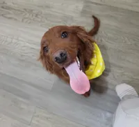 processed/7973d3b3-ba40-454f-ac84-0d79c3807f5a/listing/828bf57d-802a-4466-85fc-f253f81e6f54/02083240-4247-46c7-81aa-038be356cce7