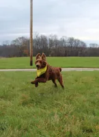 processed/7973d3b3-ba40-454f-ac84-0d79c3807f5a/listing/828bf57d-802a-4466-85fc-f253f81e6f54/4c2a2214-9d43-4c7d-a0b6-f4a030677d87