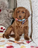 processed/7973d3b3-ba40-454f-ac84-0d79c3807f5a/listing/85247eca-5101-46f4-b589-075c0cc33ebd/8dd22013-9330-4141-a150-b6de34251c38