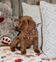 processed/7973d3b3-ba40-454f-ac84-0d79c3807f5a/listing/85247eca-5101-46f4-b589-075c0cc33ebd/a23974fb-cdde-4281-bb16-33c789719c94