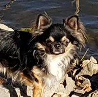 processed/797ae4f3-b8d8-47ff-ad55-69a6041813d9/facility/1c1f96c1-5700-4cda-b0bd-fdb13994df18