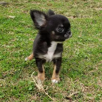 processed/797ae4f3-b8d8-47ff-ad55-69a6041813d9/facility/363b1453-281d-4eac-bfc8-7bac3559f454