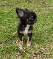 processed/797ae4f3-b8d8-47ff-ad55-69a6041813d9/facility/363b1453-281d-4eac-bfc8-7bac3559f454