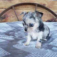 processed/797ae4f3-b8d8-47ff-ad55-69a6041813d9/facility/3ad831d3-ce8a-435b-b9b0-fd69ebd323f2