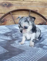 processed/797ae4f3-b8d8-47ff-ad55-69a6041813d9/facility/3ad831d3-ce8a-435b-b9b0-fd69ebd323f2