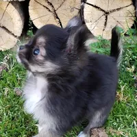 processed/797ae4f3-b8d8-47ff-ad55-69a6041813d9/facility/55bc16c8-d554-4abc-ab97-f73b684a0ebf