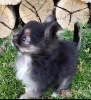 processed/797ae4f3-b8d8-47ff-ad55-69a6041813d9/facility/55bc16c8-d554-4abc-ab97-f73b684a0ebf