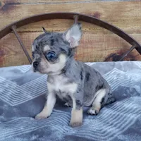 processed/797ae4f3-b8d8-47ff-ad55-69a6041813d9/facility/6a3ccd8f-fdb1-45ed-a491-d85b8750c3ed