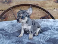 processed/797ae4f3-b8d8-47ff-ad55-69a6041813d9/facility/6a3ccd8f-fdb1-45ed-a491-d85b8750c3ed