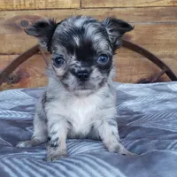 processed/797ae4f3-b8d8-47ff-ad55-69a6041813d9/facility/a89a714e-9077-4e1a-9d4c-ecf2539d6e14