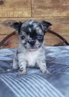 processed/797ae4f3-b8d8-47ff-ad55-69a6041813d9/facility/a89a714e-9077-4e1a-9d4c-ecf2539d6e14