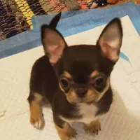 processed/797ae4f3-b8d8-47ff-ad55-69a6041813d9/facility/fce43ae2-0026-4bf4-9731-4e6176e4bfdb