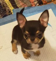 processed/797ae4f3-b8d8-47ff-ad55-69a6041813d9/facility/fce43ae2-0026-4bf4-9731-4e6176e4bfdb