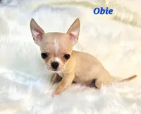 processed/797ae4f3-b8d8-47ff-ad55-69a6041813d9/listing/31037900-2976-452c-b8b8-a3e692d83dbc/e3cc71e2-cb7c-4dda-8567-e3af4adba033