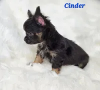 processed/797ae4f3-b8d8-47ff-ad55-69a6041813d9/listing/59c55a6e-70e2-49c6-bda1-4174d9d79910/8b2a518d-2c38-4f92-a772-d0d6e543ea84