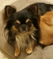 processed/797ae4f3-b8d8-47ff-ad55-69a6041813d9/listing/59c55a6e-70e2-49c6-bda1-4174d9d79910/a3b2f195-6f98-4b42-b4f8-ad1a2d292946