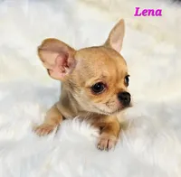 processed/797ae4f3-b8d8-47ff-ad55-69a6041813d9/listing/61d694e8-8b44-4e8a-b866-d00e559a2343/2bf00bc5-a2f4-4d23-9509-9c82c05197f5