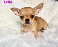 processed/797ae4f3-b8d8-47ff-ad55-69a6041813d9/listing/61d694e8-8b44-4e8a-b866-d00e559a2343/ae5e1d1a-0bbf-4082-8878-3789cb4444ff