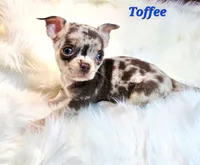 processed/797ae4f3-b8d8-47ff-ad55-69a6041813d9/listing/c53ca760-dab8-4f18-b5d4-2ed4c4be742e/496c2bc3-6b44-4801-9633-8e57827cc1f5