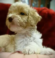 processed/79881d32-ae19-4bad-9b91-22fb6863ca06/listing/33cf23c2-51ff-4d5c-ab87-99d592e4f988/44ab3807-a51f-4f1d-ab9a-84aed4aa5603