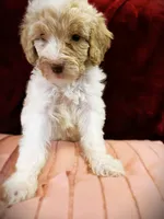 processed/79881d32-ae19-4bad-9b91-22fb6863ca06/listing/33cf23c2-51ff-4d5c-ab87-99d592e4f988/a2c334d2-5cf4-4bed-a6f6-0ad138b7006e