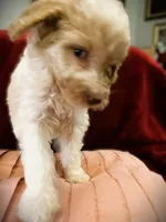 processed/79881d32-ae19-4bad-9b91-22fb6863ca06/listing/33cf23c2-51ff-4d5c-ab87-99d592e4f988/c1458e94-2974-44a6-a634-431de12527ff