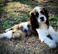 processed/79881d32-ae19-4bad-9b91-22fb6863ca06/listing/4140ee5c-ecf1-480f-a50e-127d6b1735cd/1aa40b99-9050-4333-ab2a-a423ba2337ac