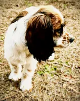 processed/79881d32-ae19-4bad-9b91-22fb6863ca06/listing/4140ee5c-ecf1-480f-a50e-127d6b1735cd/afe52c66-6e8f-4bb5-a823-1690bc7c7cb8